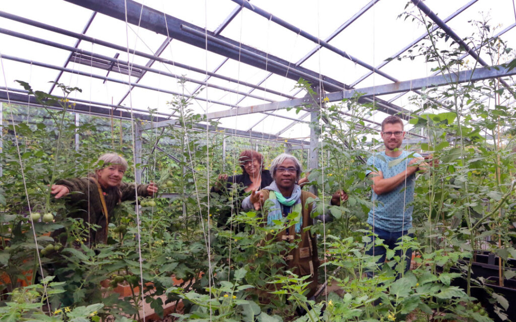 buurttuin op een voormalig schoolplein in de Geitenkamp